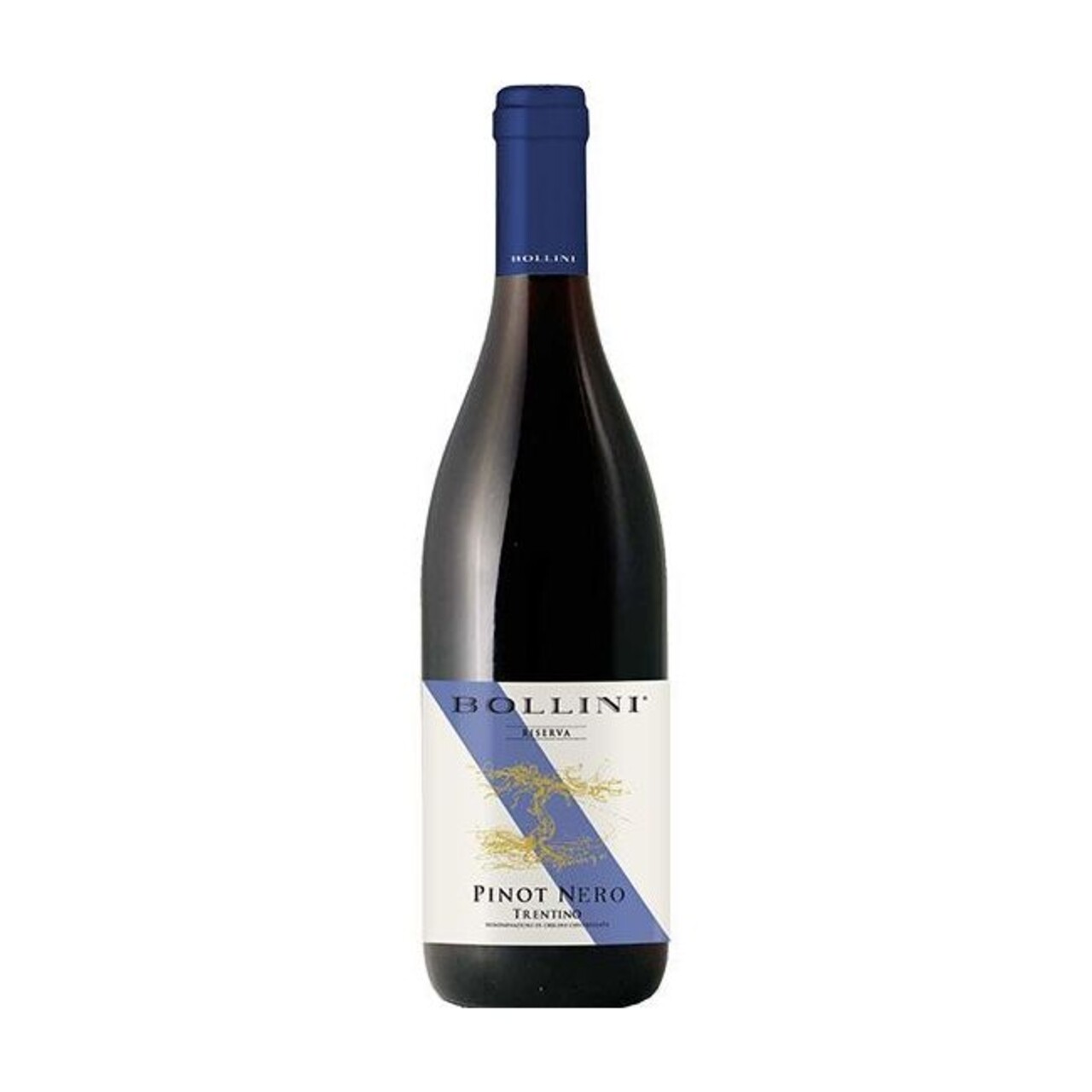 Bollini Pinot Nero Riserva DOC 2017 Red Wine – Trentino, Italy
