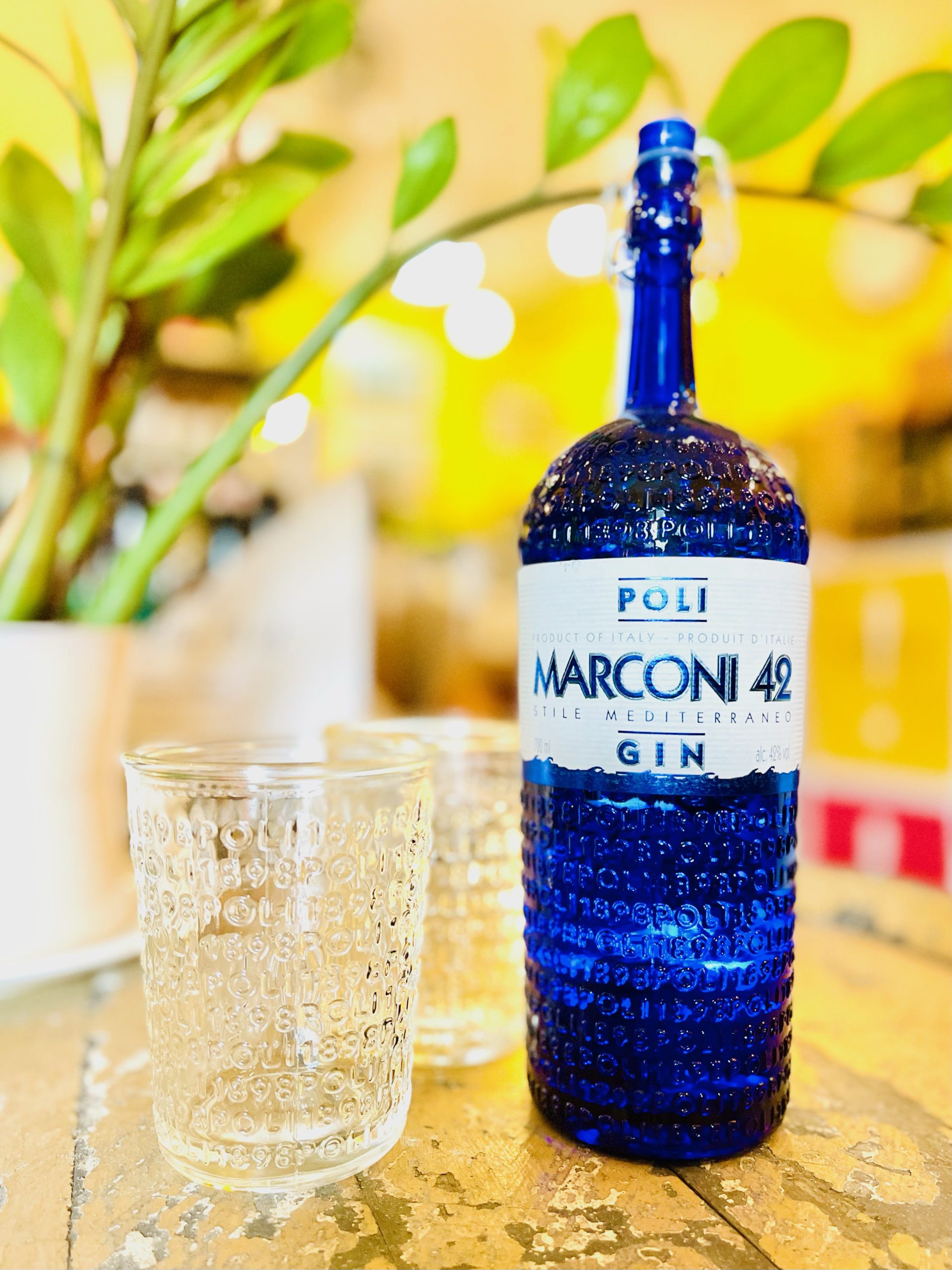 Poli Marconi 42 Mediterranean Gin, Italy